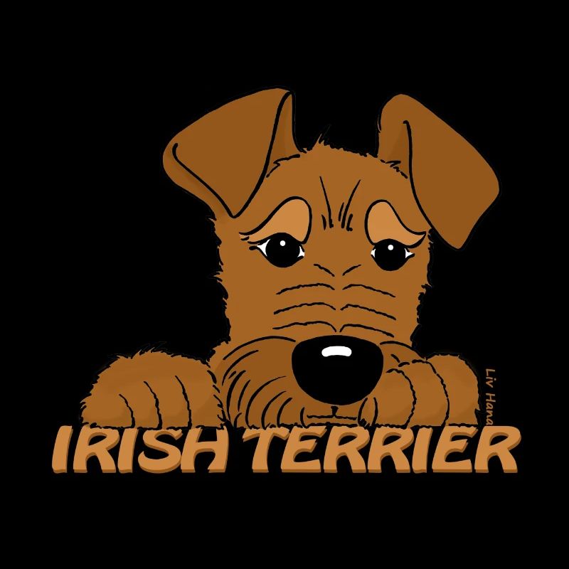 Irish Terrier Kopf