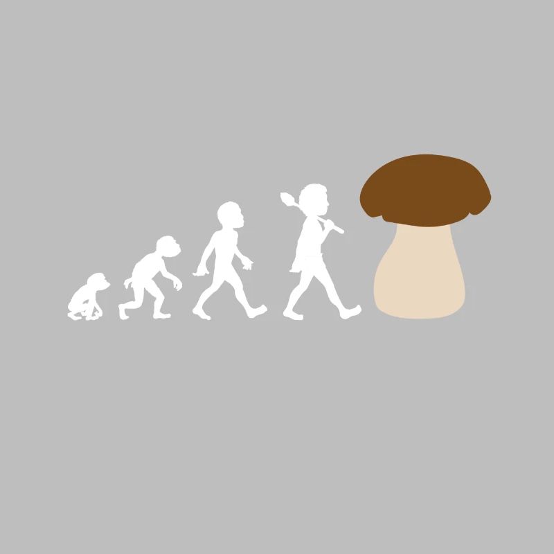 Evolution design of a boletus