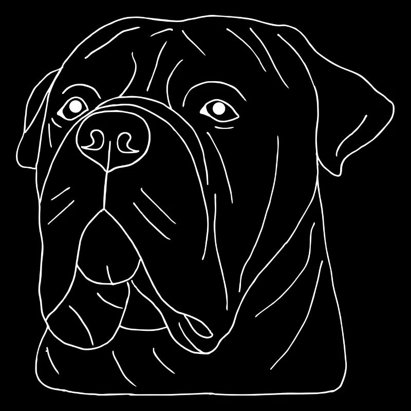 Bullmastiff Kopf