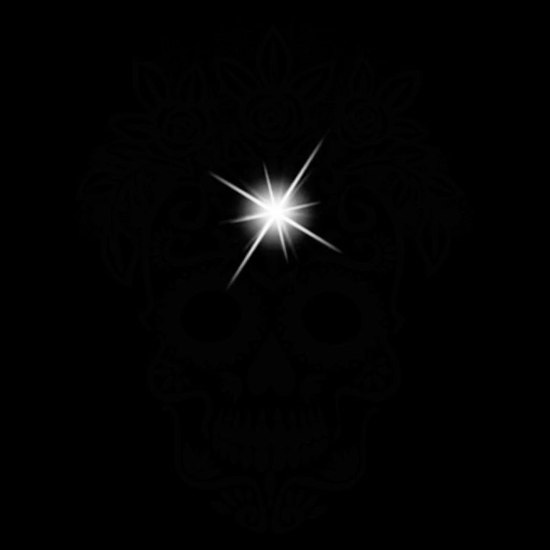 Sugar Skull Art