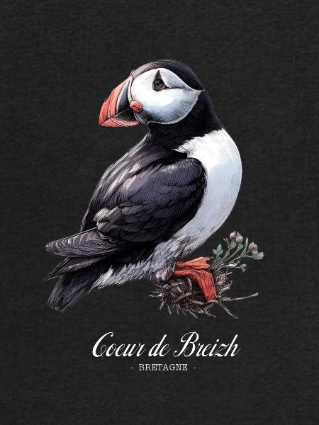 Atlantic Puffin Bretagne Heart of Breizh