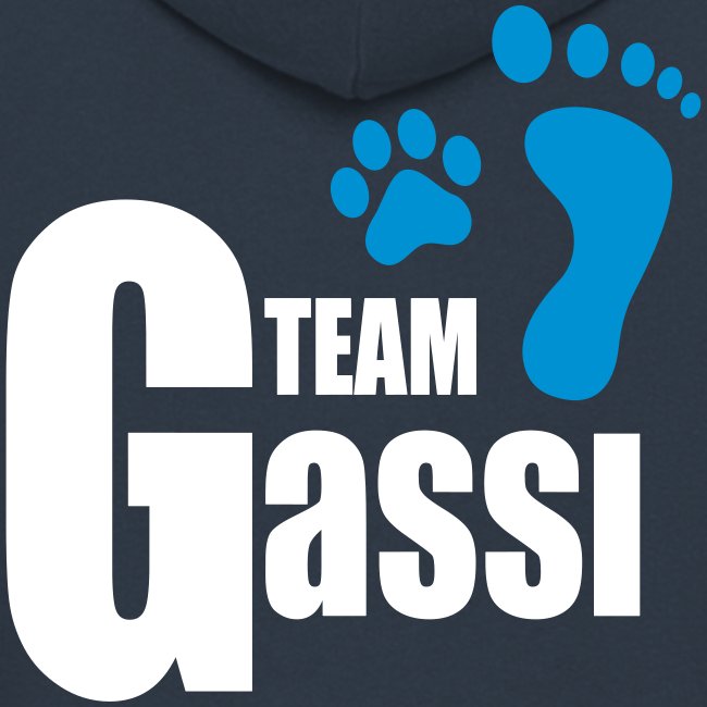 Vorschau: Team Gassi - Männer Premium Kapuzenjacke