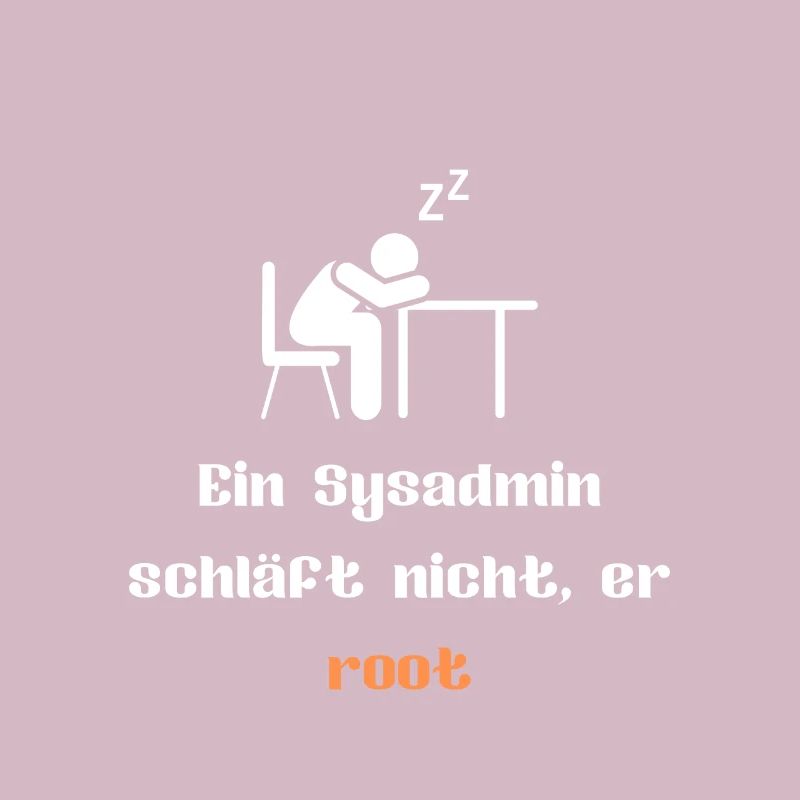 Admin / Informatiker / Computer / Programmierer