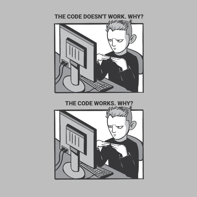 "My Code Works. WHY?" | Programmer