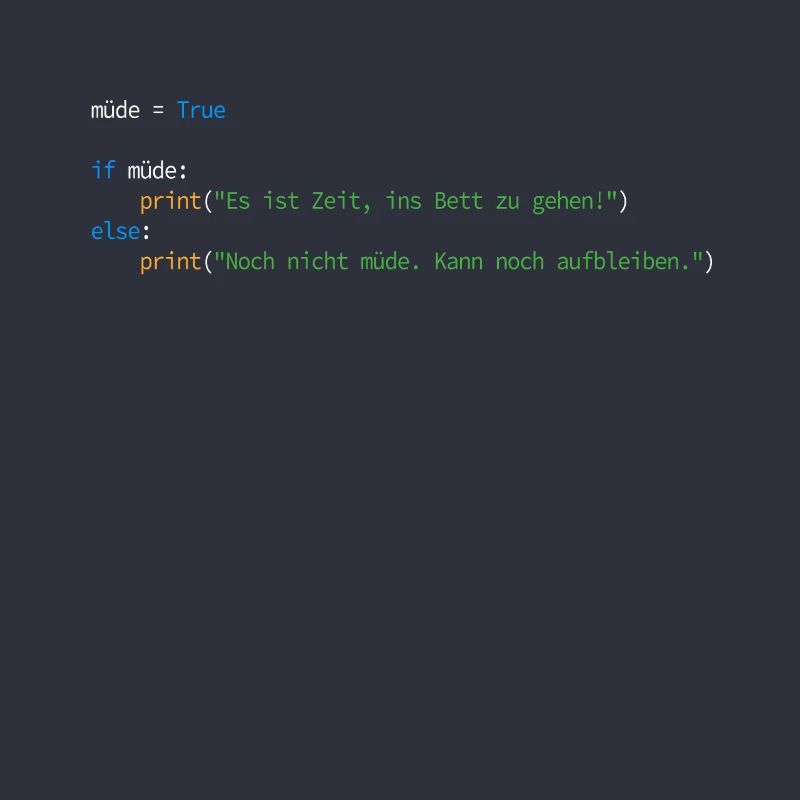 Programmierer Informatiker Nerd Softwareingenieur