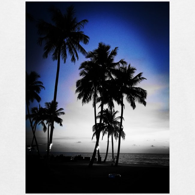 paradise palm