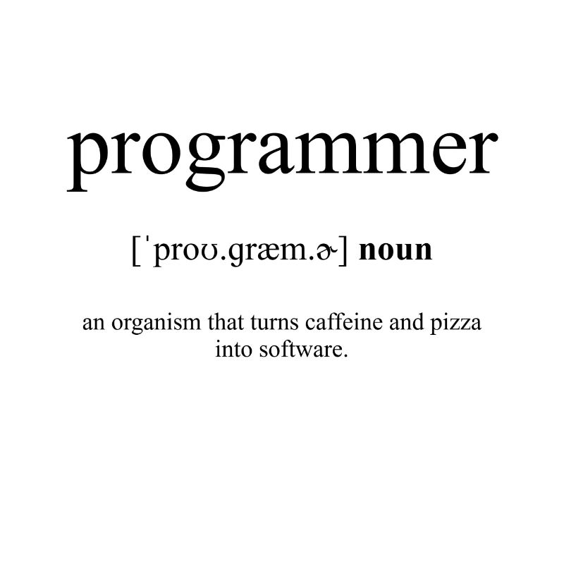 Programmer Definition Dictionary
