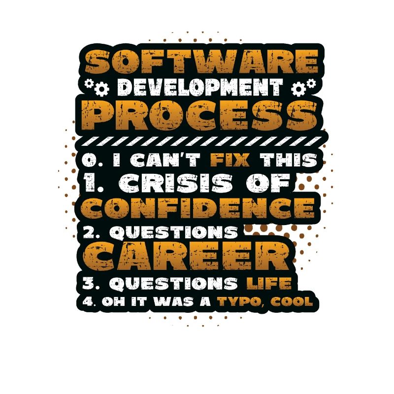 Software Development Process, Programming