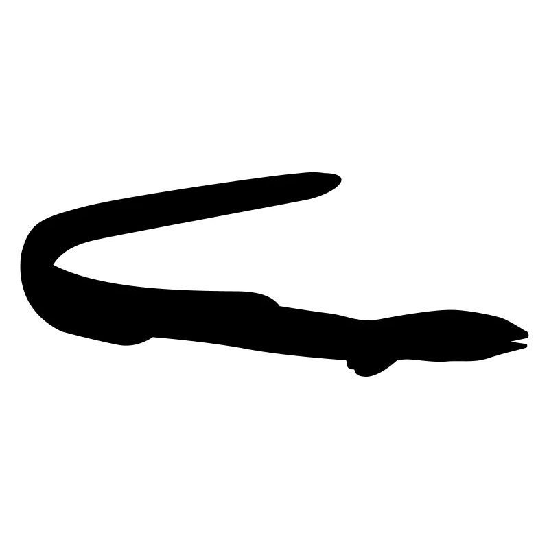 Fish eel