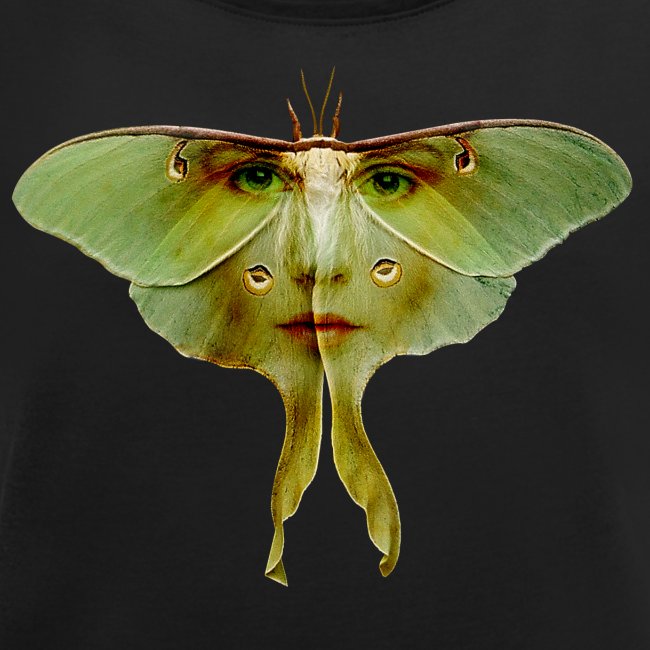 lady moth