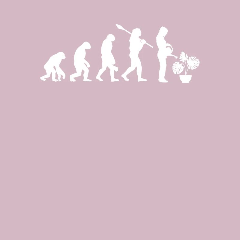 Monstera Evolution Pflanze Gärtner