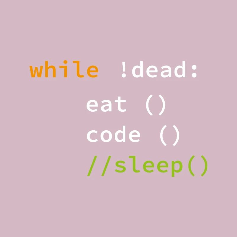 Funny Coding Programmer Gift