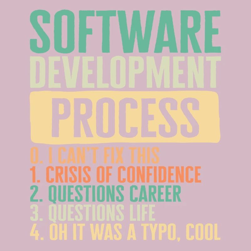Programmer Shirt, I Software Development Process