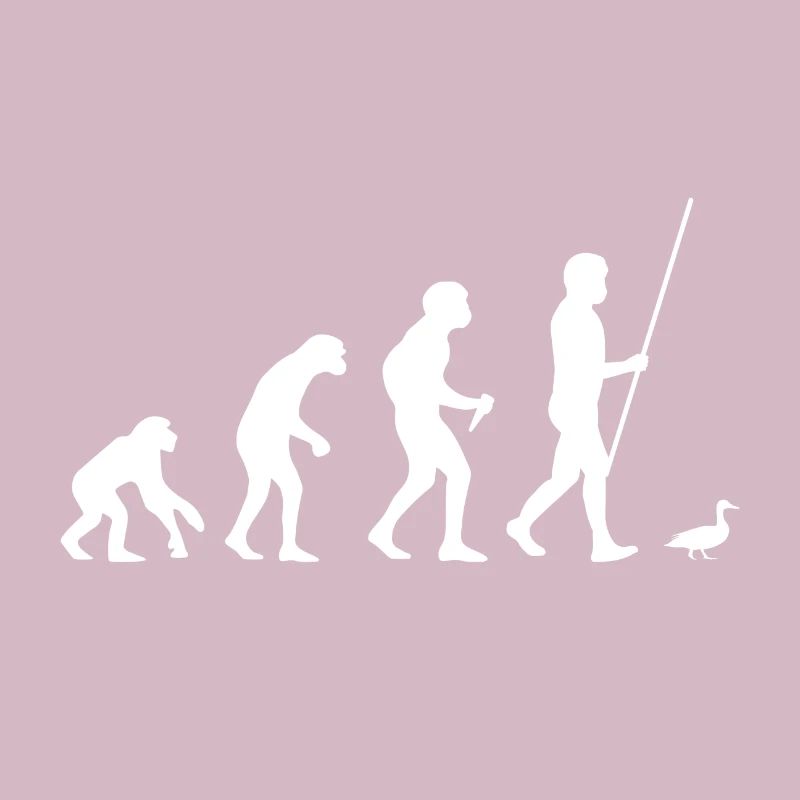 Évolution du canard