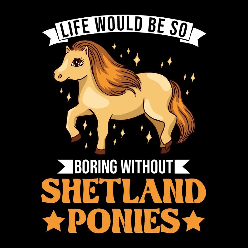 Shetland Pony Gift Shetty
