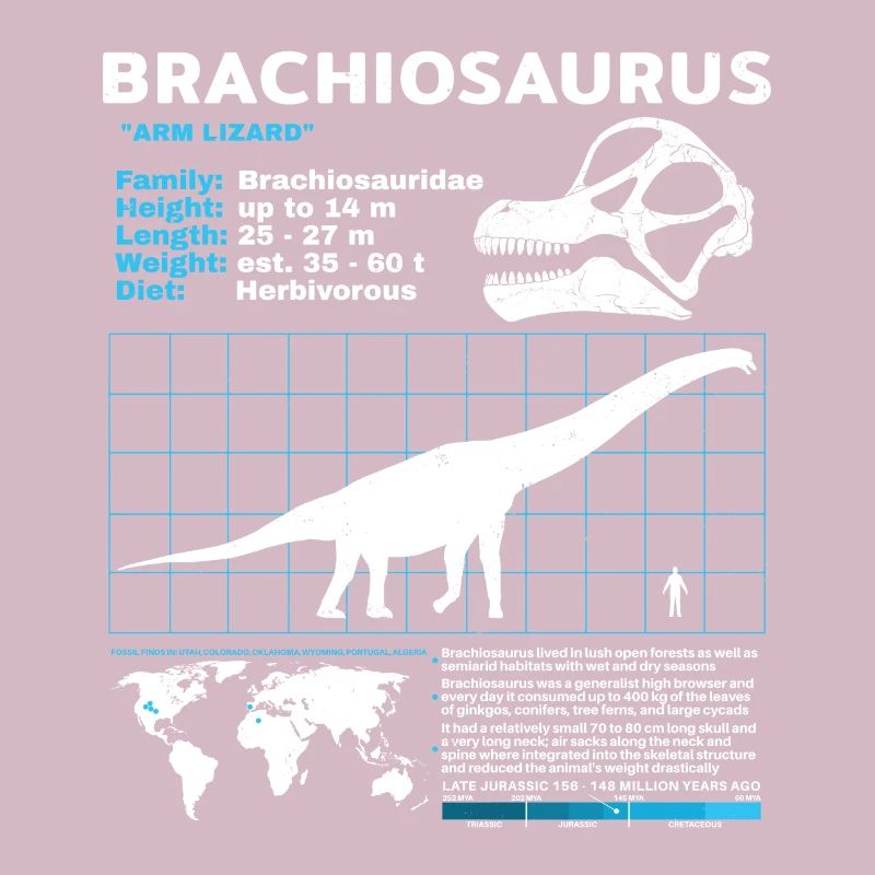 Fiche technique de Brachiosaurus