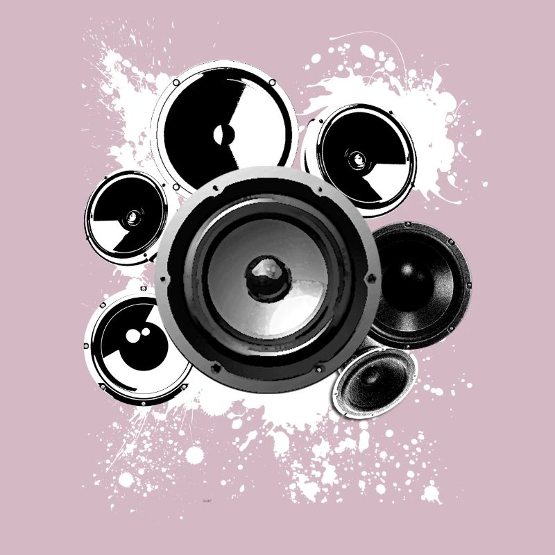 Speaker loudspeaker construction Hifi reference class techno