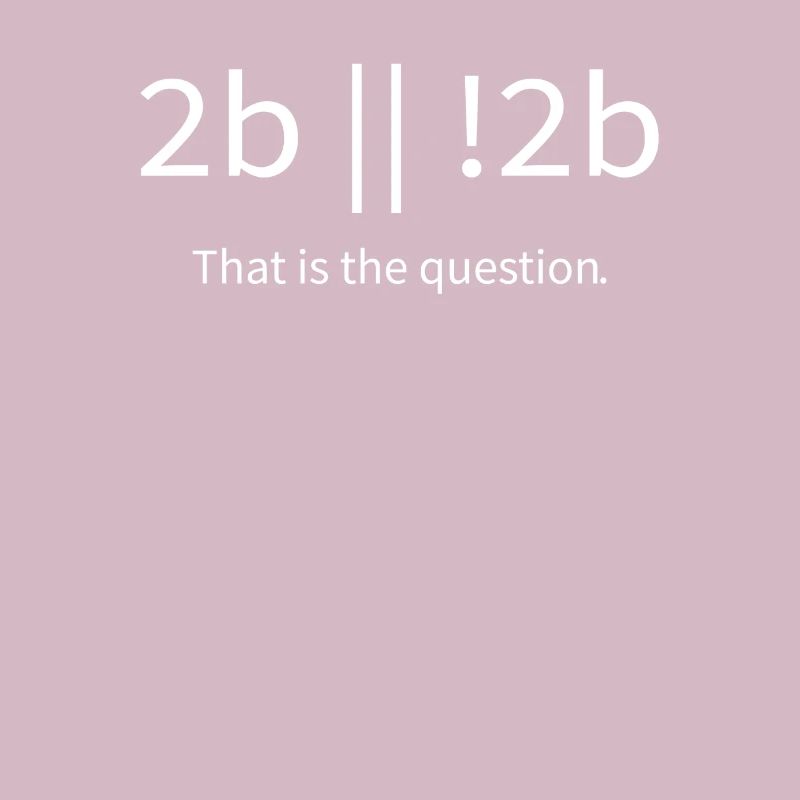 2b lustiger cooler Programmierer sein oder nicht sein