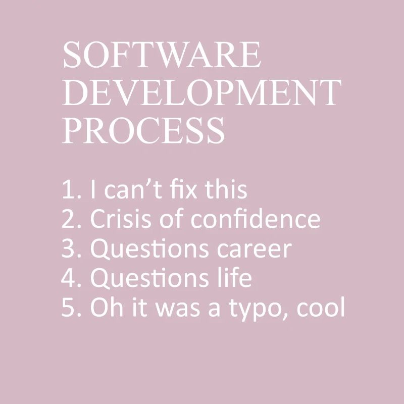 Web Developer Software Development Process Javascr
