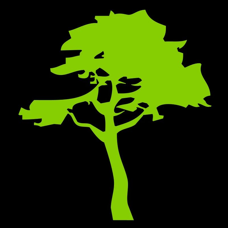 baum_2
