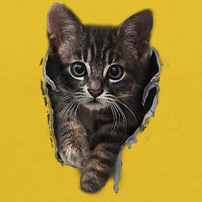 Vorschau: Katze Riss - Frauen T-Shirt mit gerollten Ärmeln