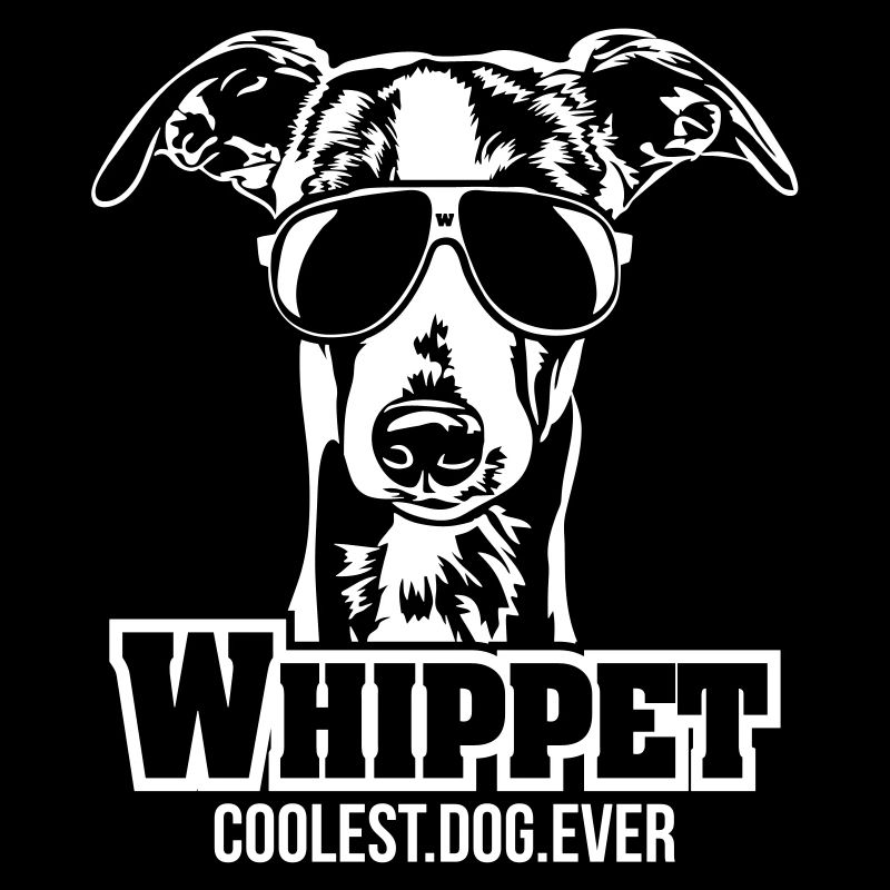 WHIPPET le chien le plus cool Wilsigns