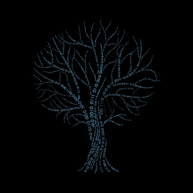 Arbre binaire