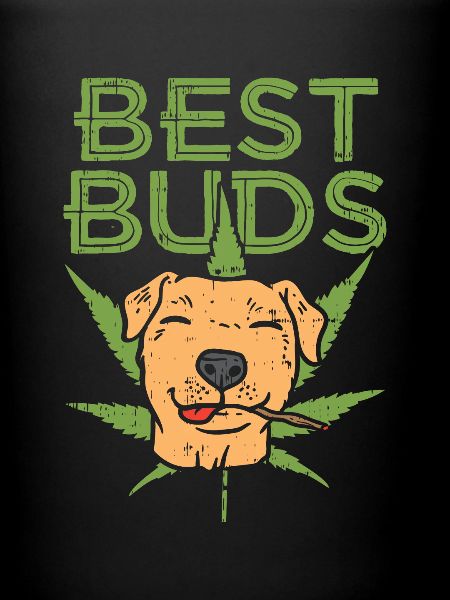 Meilleur pote - Pitbull Shirt