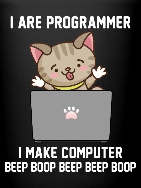 Programmeur