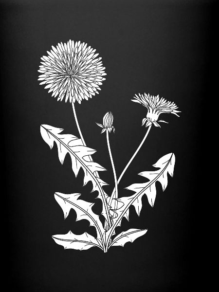 Wildflowers