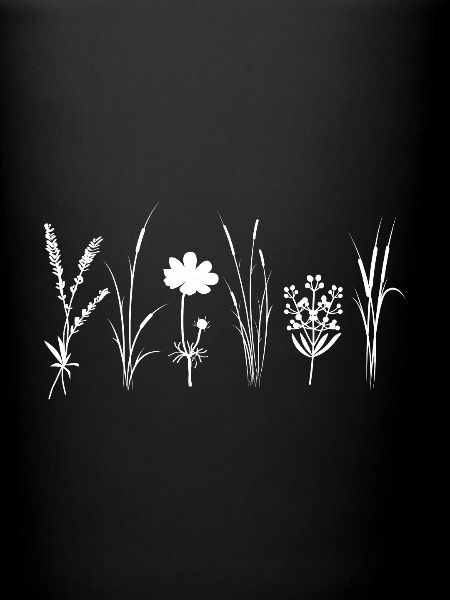 Wildflowers