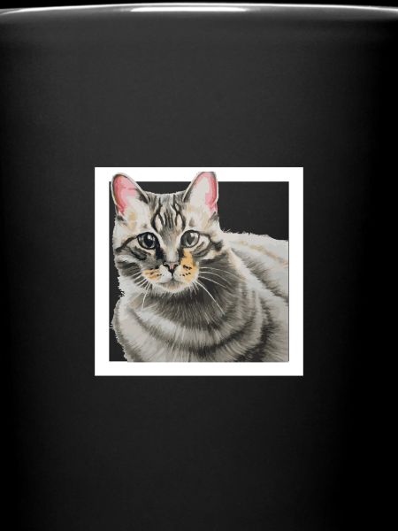 Katze