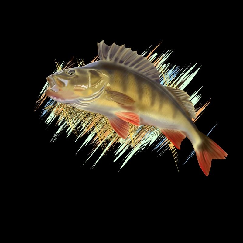 Perch