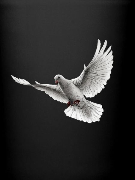 Dove