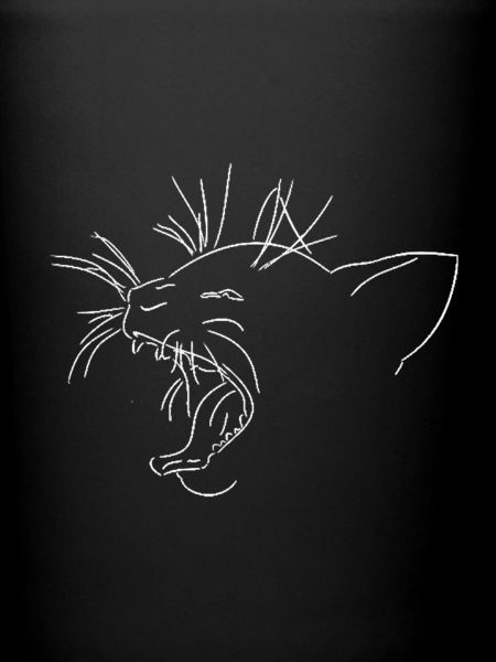 Wildcat