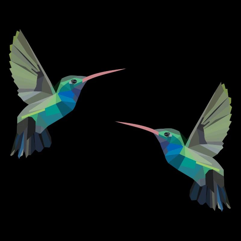 Colibri oiseau oiseaux polygone perruche cadeau