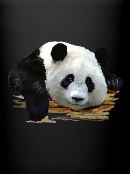 panda