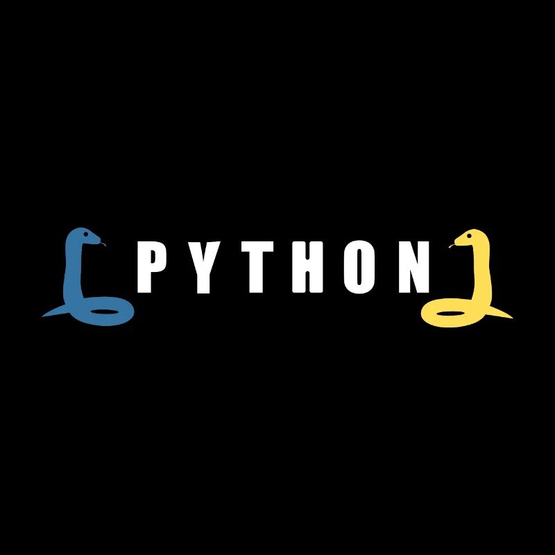 Python developer programmer coder gift idea