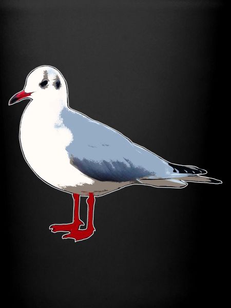 Mouette