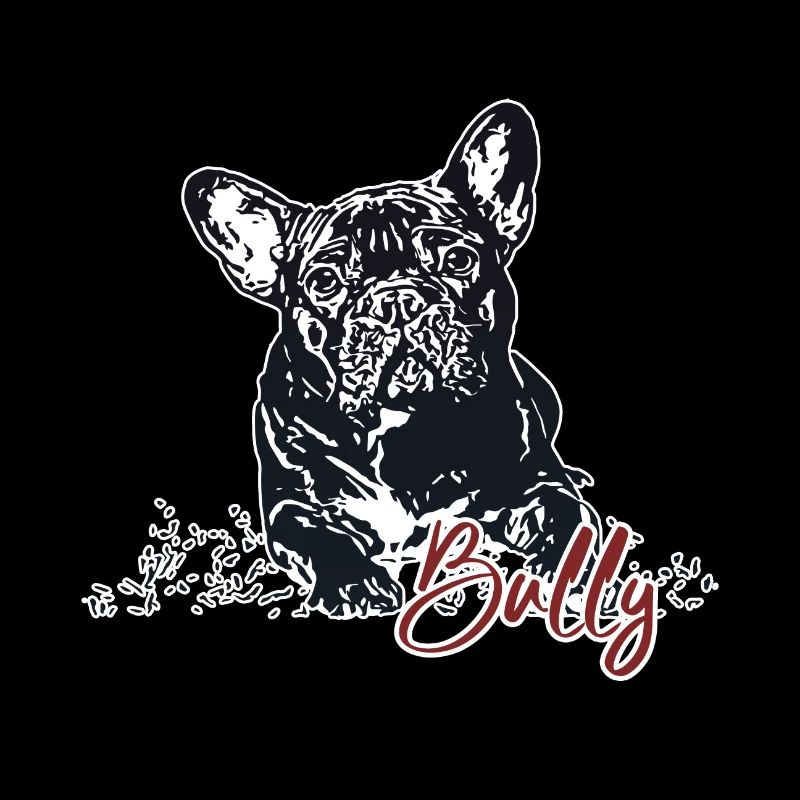Bully - Bouledogue français mignon