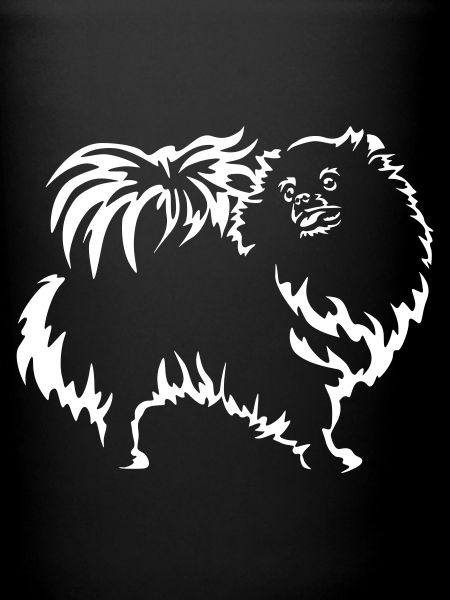 Zwergspitz Black Edition"