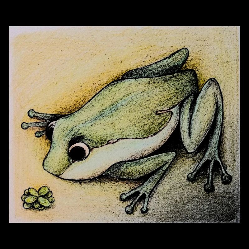 frog