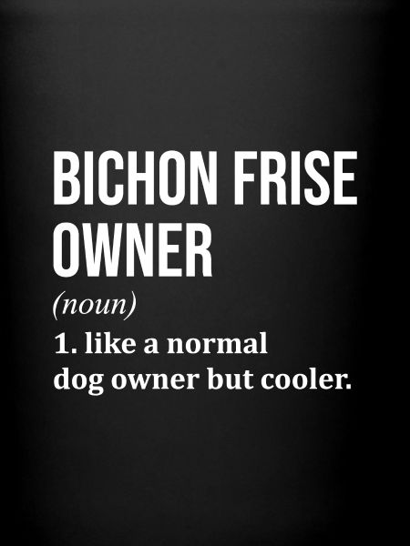 Bichon Frise Bichon Frise Bichon Frise