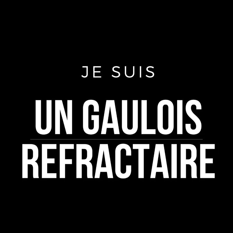 Ich bin ein widerspenstiger Gallier