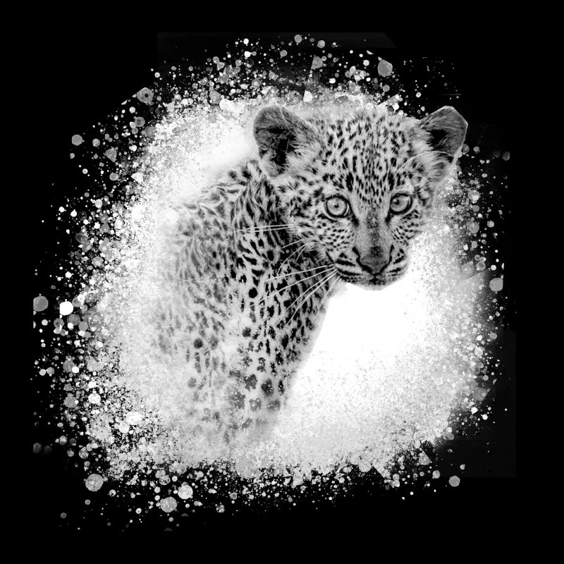 léopard, chat, chat sauvage, graffiti, peinture, gris