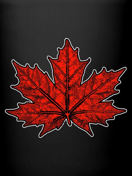Maple / Leaf