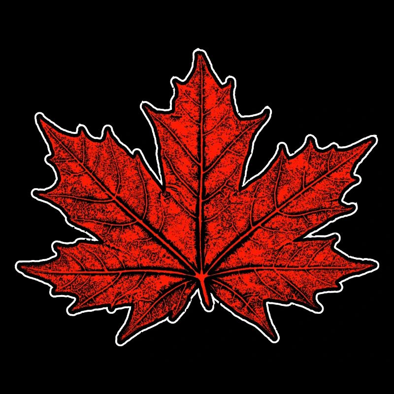 Érable / Feuille