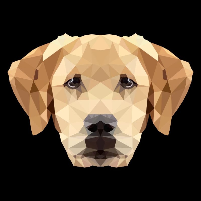Dog Labrador Polygon