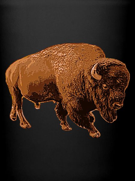bison