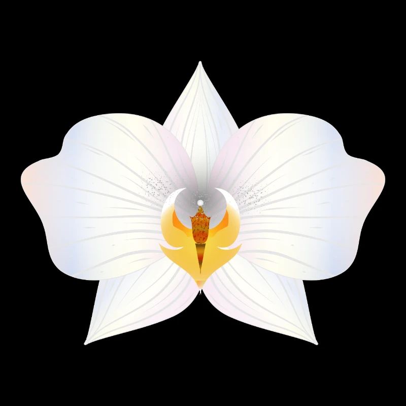 Fleur d’orchidée délicate aux couleurs pastel